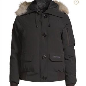 Canada goose; mint condition